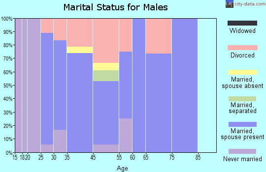 North Salem marital status for males