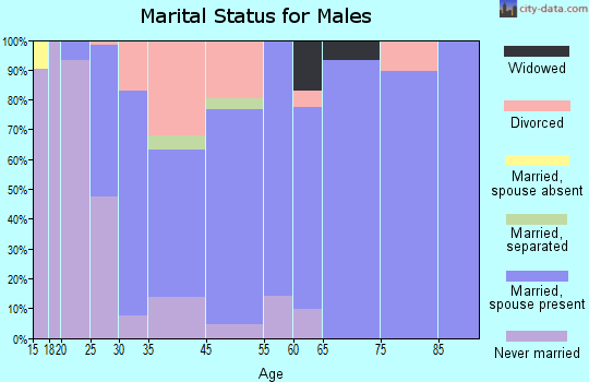 North Terre Haute marital status for males