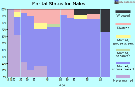 North Webster marital status for males