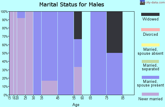 Lower Kalskag marital status for males