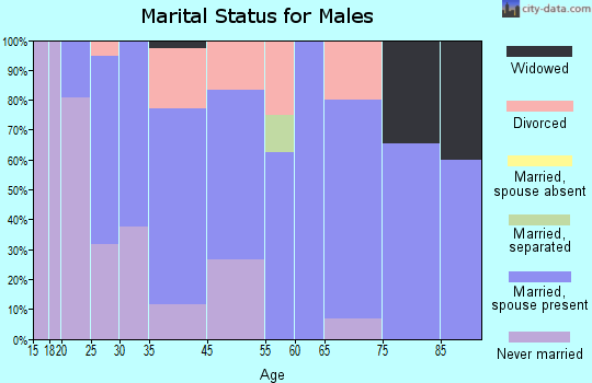 Palmyra marital status for males