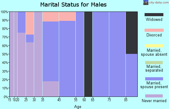 Patriot marital status for males