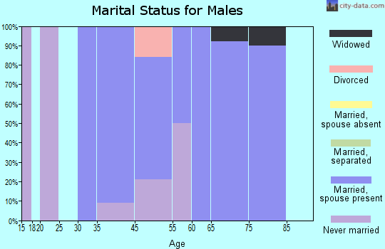 Pottawattamie Park marital status for males