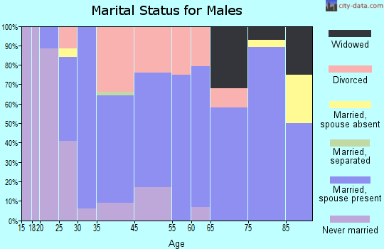 Remington marital status for males