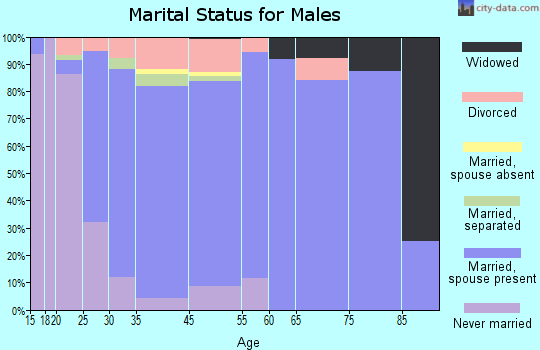 Roanoke marital status for males