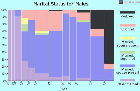 Rochester marital status for males
