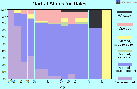 Rome City marital status for males