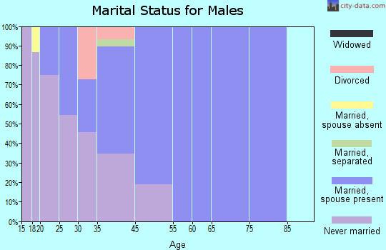 Manokotak marital status for males