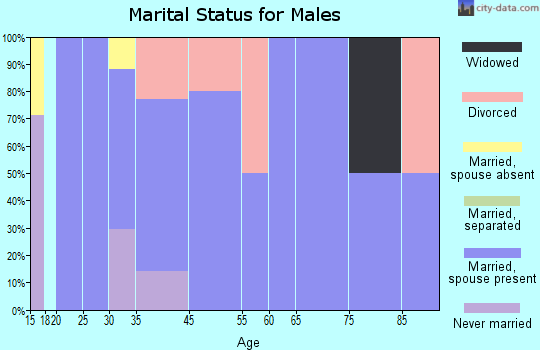 Russellville marital status for males