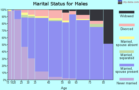 Schererville marital status for males