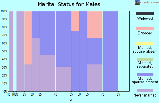 Mekoryuk marital status for males