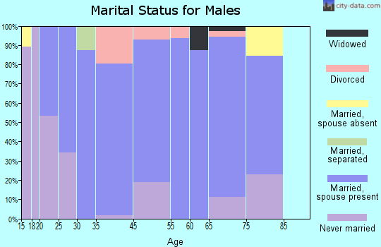 Shirley marital status for males