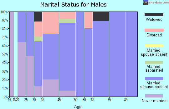 Silver Lake marital status for males