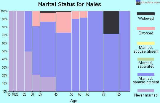 Simonton Lake marital status for males