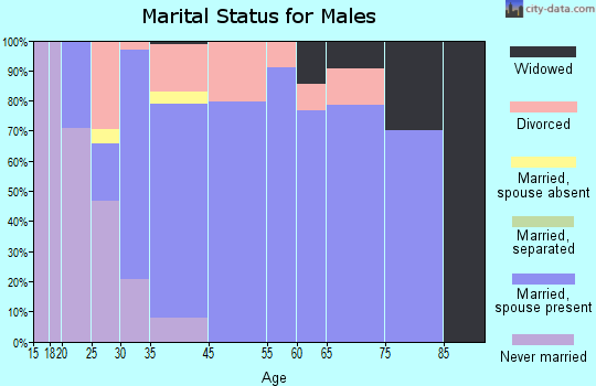 South Haven marital status for males