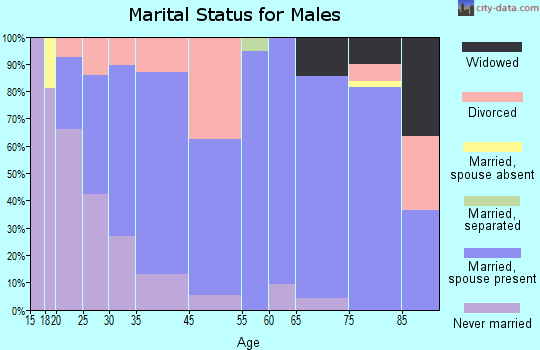 South Whitley marital status for males