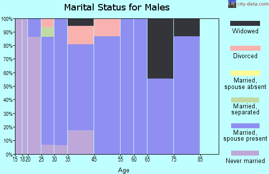 Spiceland marital status for males