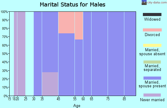 Spring Lake marital status for males