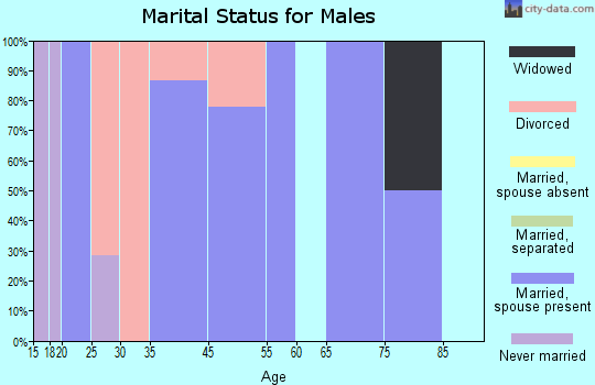 Springport marital status for males