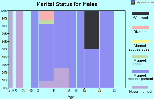 Stinesville marital status for males
