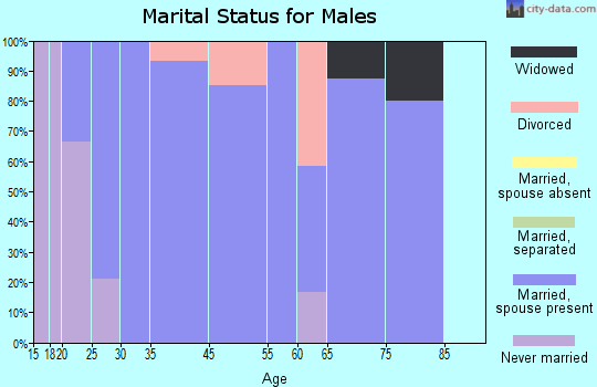 Sulphur Springs marital status for males