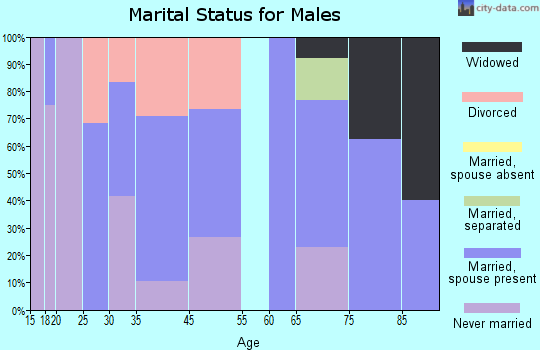 Troy marital status for males