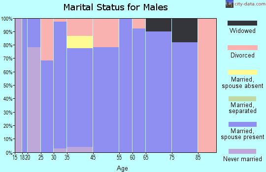 Van Buren marital status for males