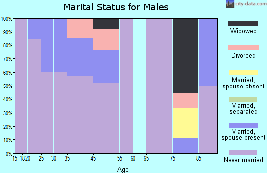Minto marital status for males