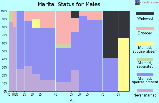 West Lebanon marital status for males