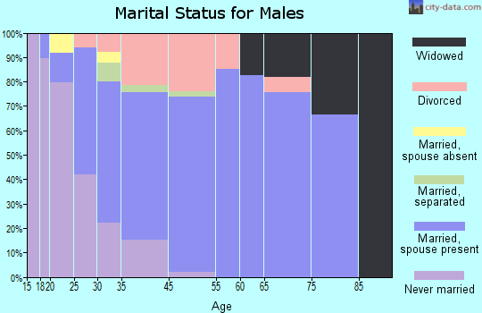 West Terre Haute marital status for males