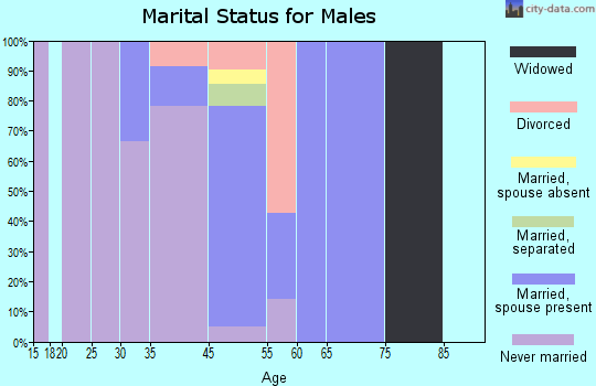 Mosquito Lake marital status for males