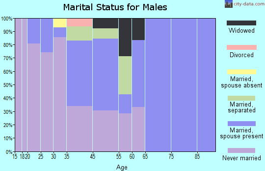 Mountain Village marital status for males