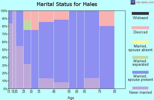 Zanesville marital status for males