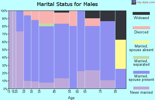 Afton marital status for males
