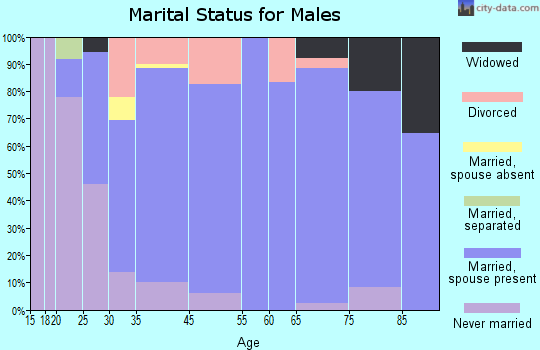 Akron marital status for males