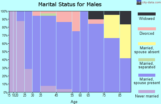 Albert City marital status for males