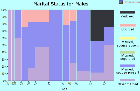 Alta Vista marital status for males