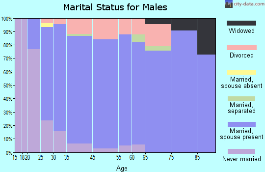 Altoona marital status for males