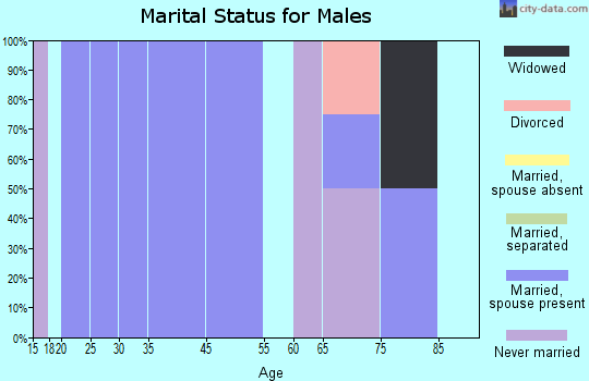 Andover marital status for males