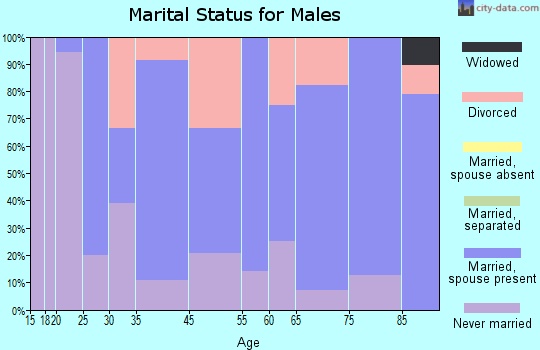Anthon marital status for males
