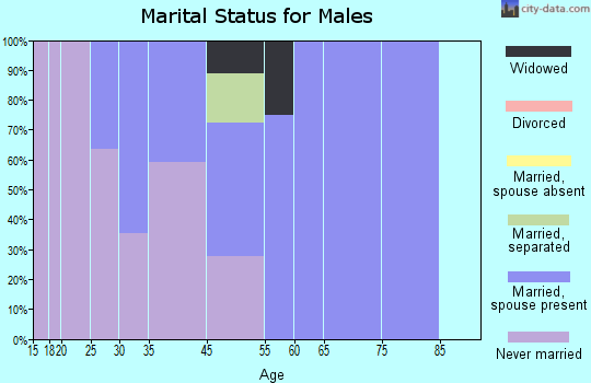 Napakiak marital status for males