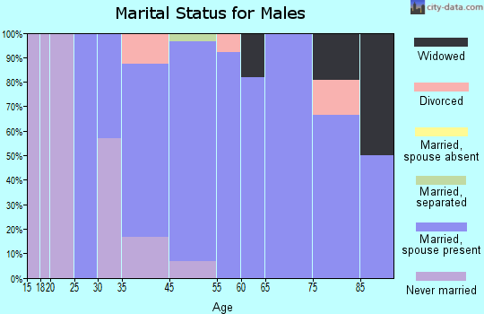 Arlington marital status for males
