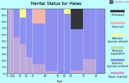 Ashton marital status for males