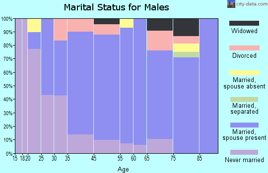 Bellevue marital status for males