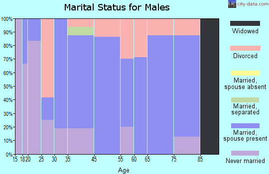 Birmingham marital status for males