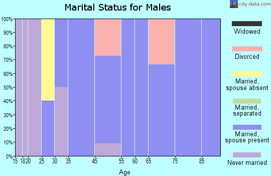 Blairsburg marital status for males