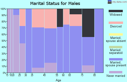 Blakesburg marital status for males