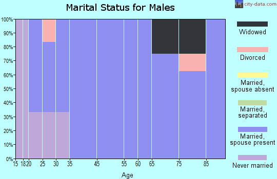 Blockton marital status for males