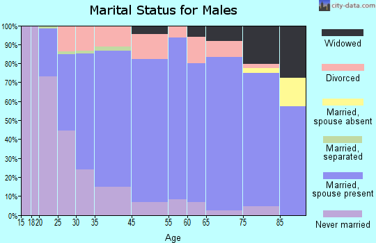 Boone marital status for males