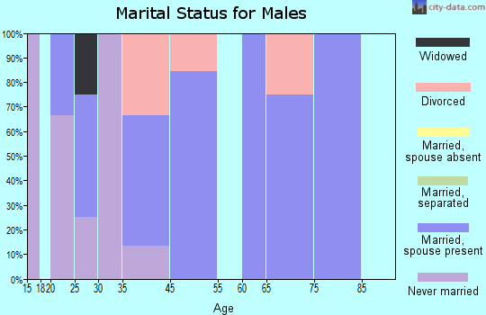 Braddyville marital status for males